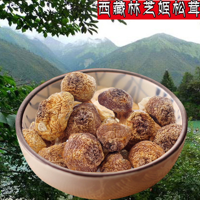 wild Agaricus blazei Tibet specialty Agaricus blazei Agaricus blazei Excellent taste Pure and delicious Dry goods half Jinin the Traditional nourishing food , Other traditional tonic , Other traditional tonic category - from Buy2taobao.com to provide professional Taobao agent buy service
