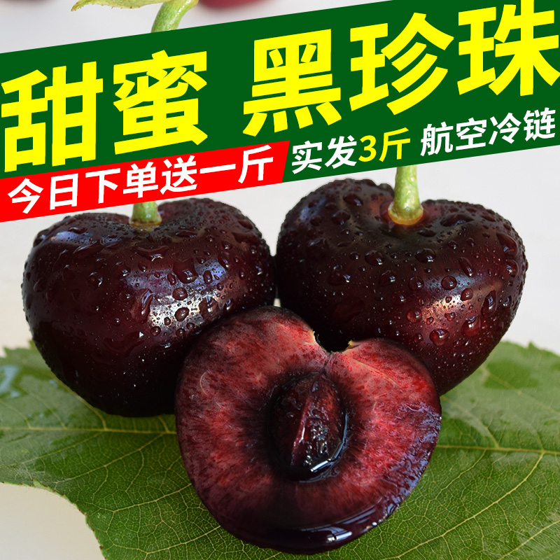 送1斤 车厘子山东烟台大樱桃当季时令新鲜水果殷桃非大连现货3斤|msdalam kategori daging perikanan/Buah-buahan segar dan sayur-sayuran/dimasak, buah-buahan segar, ceri/ceri - dari Buy2taobao.com untuk memberikan perkhidmatan ejen Taobao profesional membeli