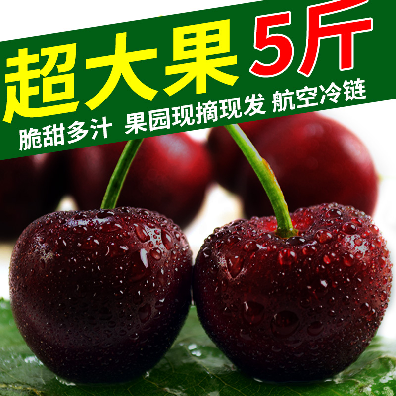 Large fruit Shandong Yantai Cherry Cherry fresh fruit Dalian Meizao 105 goods in stockin the Aquatic meat/Fresh fruits and vegetables/Cooked , Fresh fruit , Cherries/Cherry category - from Buy2taobao.com to provide professional Taobao agent buy service