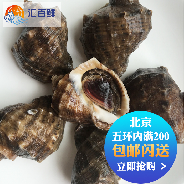 北京閃送 大連野生水産海鮮 鮮活小海螺 大海螺500克/10只左右在類目 水產肉類/新鮮蔬果/熟食, 海鮮/水產品/製品, 貝類, 貝類製品中 - 來自Buy2taobao.com提供專業的淘寶代購服務
