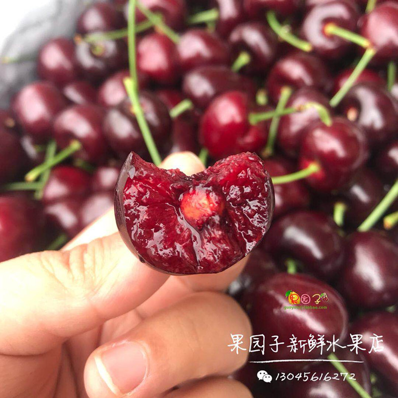 New products Air transport U.S.A Cherry fresh Cherry Imported fruit 2 pounds Large fruit Shunfengin the Aquatic meat/Fresh fruits and vegetables/Cooked , Fresh fruit , Cherries/Cherry category - from Buy2taobao.com to provide professional Taobao agent buy service