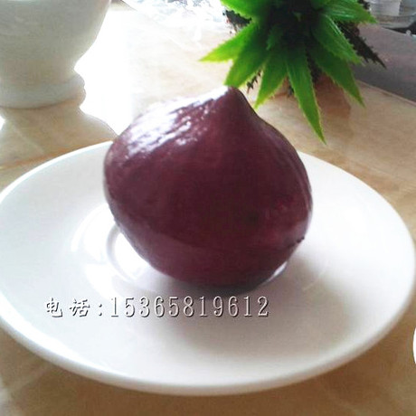 v洋葱紫洋葱假筷子蔬菜北方人家常菜摆件扇贝饰饭店用大蒜图片