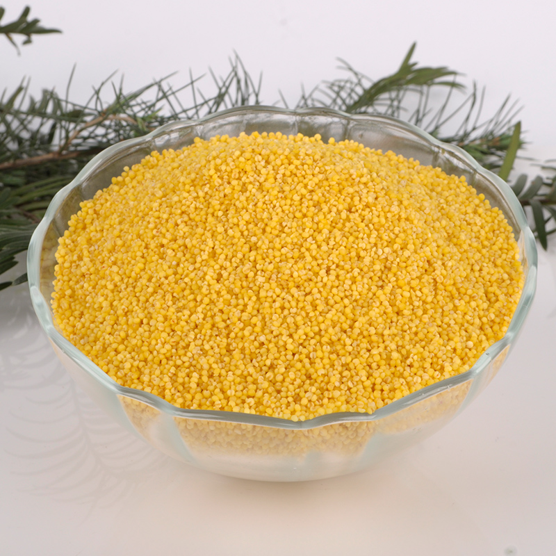 有机黄小米750g 小黄米 月子米 宝宝米 五谷小米杂粮东北粮食特产|ruв категории зерно риса/север и Юг сухих грузов/приправы, метров/муки/зерновые, метров в категории, просо - от Buy2taobao.com для оказания профессиональной услуги покупки агента Taobao
