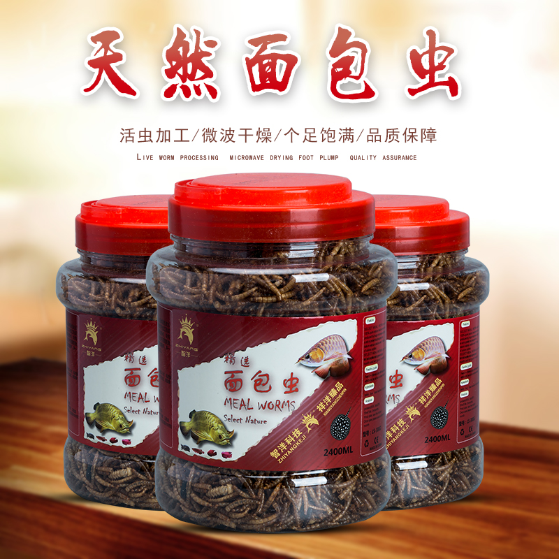 大型魚面包蟲龍魚飼料黃粉蟲幹倉鼠龜糧羅漢血鹦鹉地圖熱帶魚魚食在類目 寵物/寵物食品及用品, 水族世界, 觀賞魚飼料中 - 來自Buy2taobao.com提供專業的淘寶代購服務