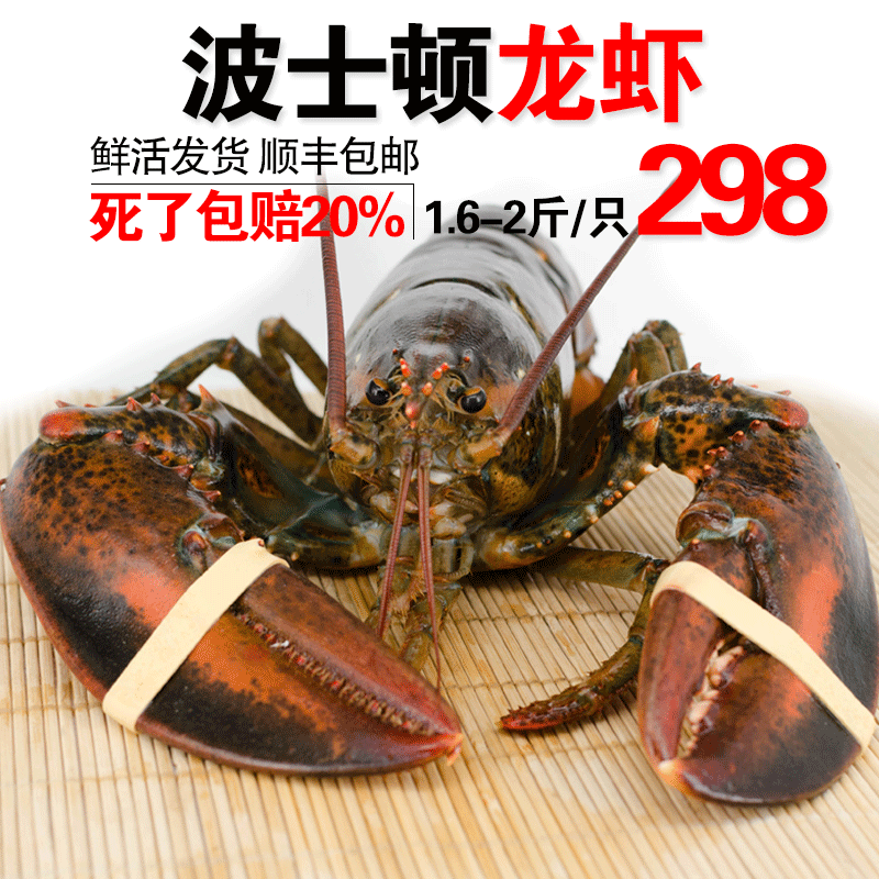 加拿大波士顿龙虾海鲜水产鲜活特超大龙虾澳洲鲍鱼面包蟹1.6-2斤|msdalam kategori daging perikanan/Buah-buahan segar dan sayur-sayuran/dimasak, makanan laut/produk akuatik/produk, udang, udang Live - dari Buy2taobao.com untuk memberikan perkhidmatan ejen Taobao profesional membeli