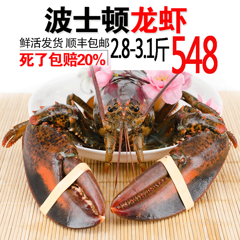 波士顿龙虾海鲜水产鲜活澳洲10进口鲍鱼帝王蟹加拿大特超2.8-3斤在类目 水产肉类/新鲜蔬果/熟食, 海鲜/水产品/制品, 虾类, 活虾中 - 来自Buy2taobao.com提供专业的淘宝代购服务