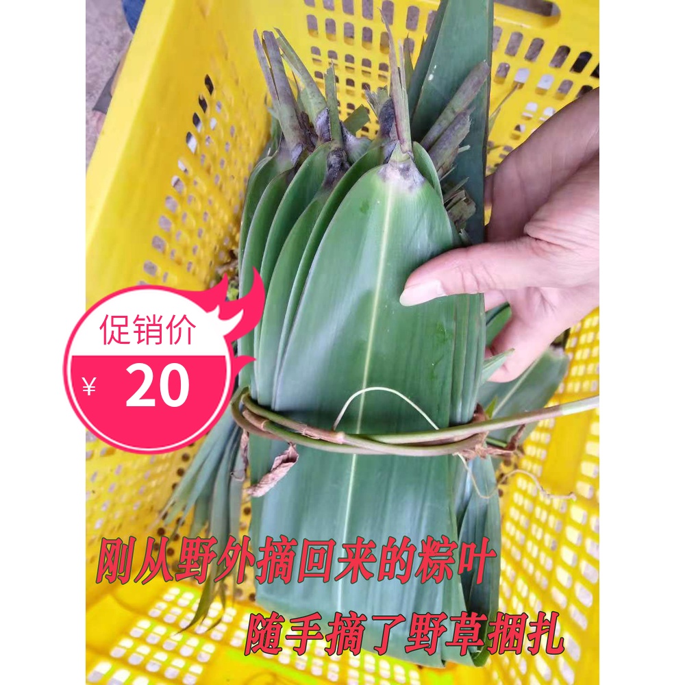 Zongye fresh wild Zongye And sell Bamboo Dry leaves 100 Zhangin the Agri rice/Dried foods/Condiment , Dried foods/Meat Dry , Dry/Native , Other category - from Buy2taobao.com to provide professional Taobao agent buy service