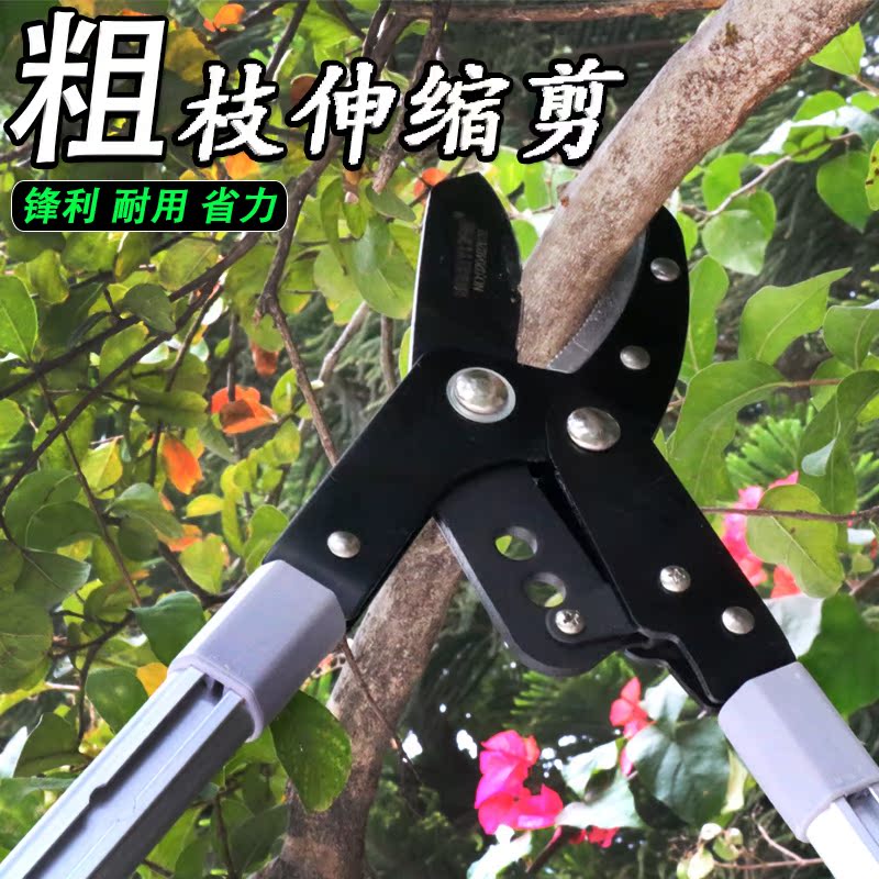 百威狮大力剪粗枝剪强力伸缩高枝剪省力园林园艺果树修枝剪刀工具|msdalam kategori perkakasan/alat, Alat-alat tangan, Shears, gunting taman - dari Buy2taobao.com untuk memberikan perkhidmatan ejen Taobao profesional membeli