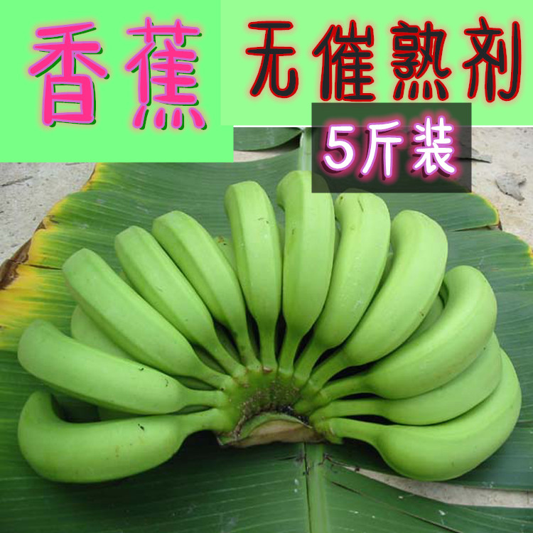 广东高州香蕉banana新鲜水果无催熟剂非米蕉粉蕉海南芭蕉5斤包邮在类目 水产肉类/新鲜蔬果/熟食, 新鲜水果, 香蕉中 - 来自Buy2taobao.com提供专业的淘宝代购服务