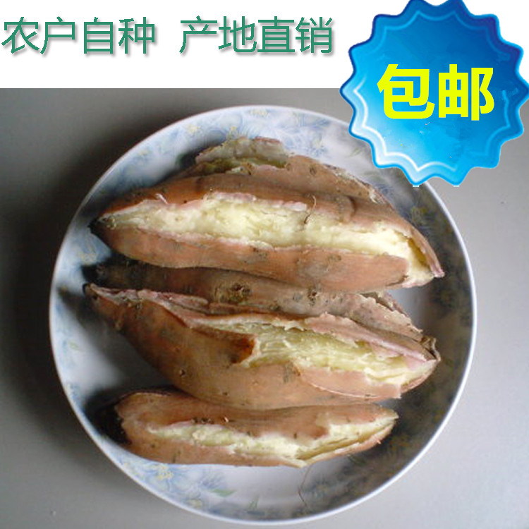 undefined3 Guangdong Gaozhou Plain boiled pork Sweet potato bread fresh Sweet potato flour Sweet potato Potatoundefinedin the Aquatic meat/Fresh fruits and vegetables/Cooked , Fresh vegetables/Vegetable products , Fresh vegetables , Sweet potato category - from Buy2taobao.com to provide professional Taobao agent buy service