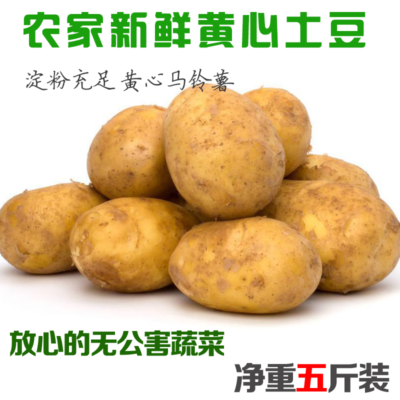山东特产 农家自种新鲜土豆 黄心 马铃薯 洋芋 新鲜蔬菜 五斤包邮在类目 水产肉类/新鲜蔬果/熟食, 新鲜蔬菜/蔬菜制品, 新鲜蔬菜, 土豆中 - 来自Buy2taobao.com提供专业的淘宝代购服务