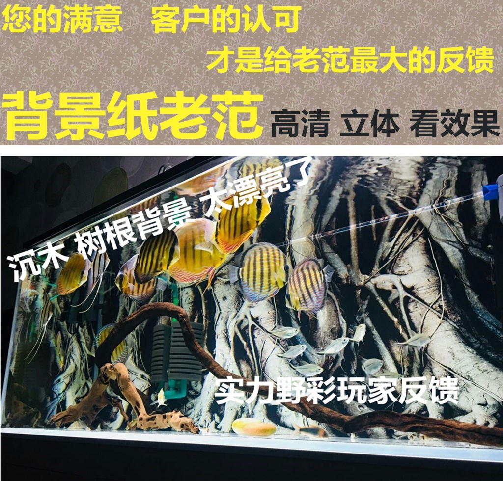 3D three-dimensional Background paper Old Fan Super White fish tank Aquarium Landscaping South American style Driftwood Root Sceneryin the Pet/Pet food and supplies , Aqua World , Aqua Service category - from Buy2taobao.com to provide professional Taobao agent buy service