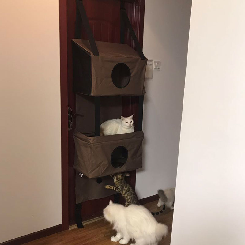 米欧宠物 KH K&H可以挂在门上的爬架 门挂床 猫窝猫跳床 承重50kg在类目 宠物/宠物食品及用品, 猫/狗玩具, 猫爬架中 - 来自Buy2taobao.com提供专业的淘宝代购服务