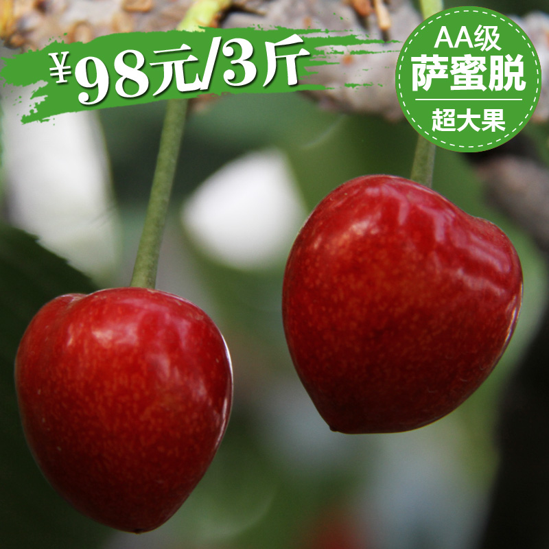 【清甜領袖】山東煙台大櫻桃車厘子AA級薩蜜脫脆甜空運包郵 3斤裝在類目 水產肉類/新鮮蔬果/熟食, 新鮮水果, 車釐子/櫻桃中 - 來自Buy2taobao.com提供專業的淘寶代購服務