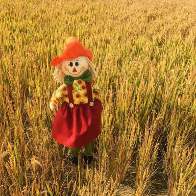 稻草制作 定做稻草人艺术品 卡通 动物 古房屋防腐稻草工艺品草雕|ruв категории доставка цветов/цветок моделирования/растения садоводства, садовых принадлежностей, играть в веревку и других веревку - от Buy2taobao.com для оказания профессиональной услуги покупки агента Taobao