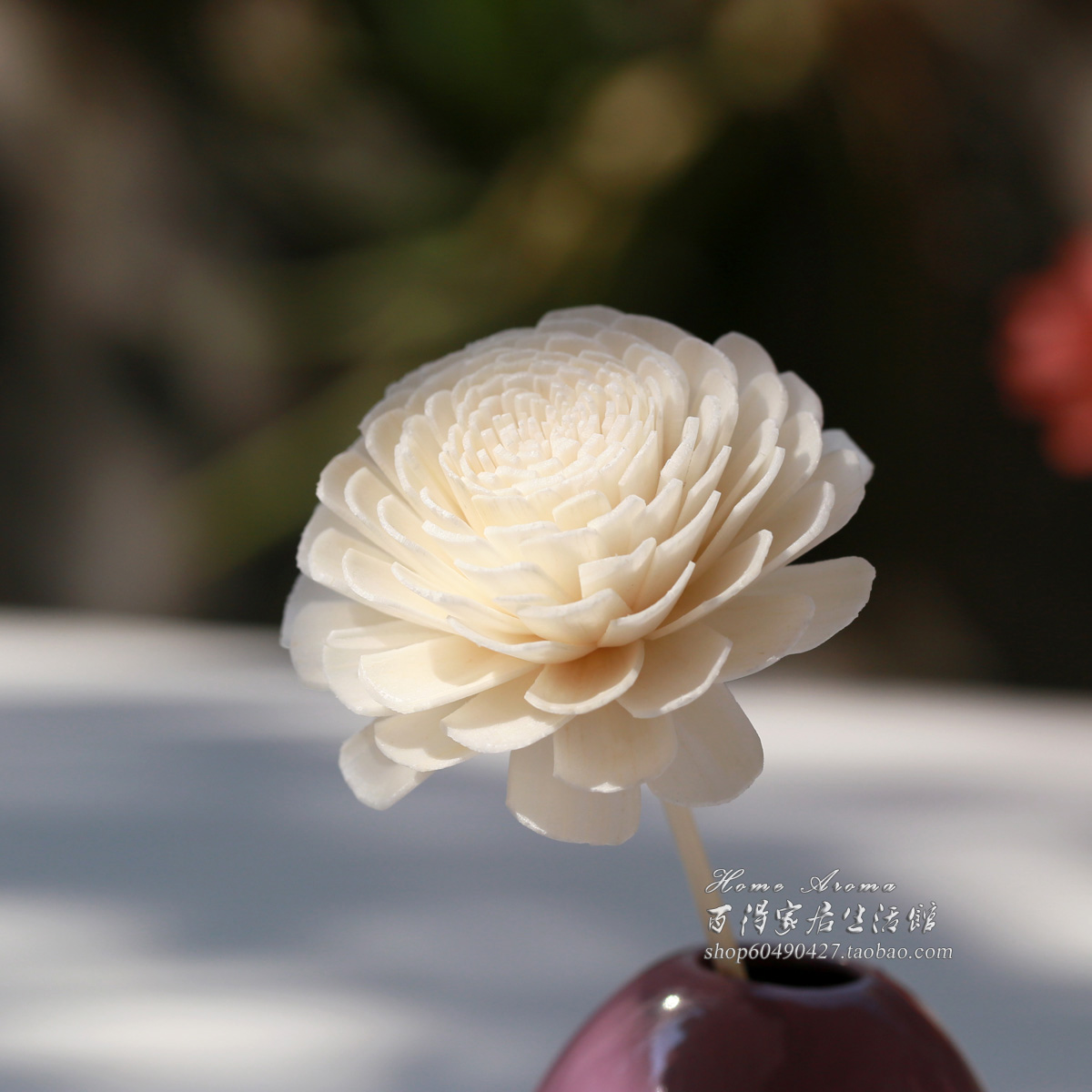 满30元包邮藤条香薰花配件印尼藤枝藤条通草花藤条花枝木花干花在类目 洗护清洁剂/卫生巾/纸/香薰, 香熏用品, 香熏香料中 - 来自Buy2taobao.com提供专业的淘宝代购服务