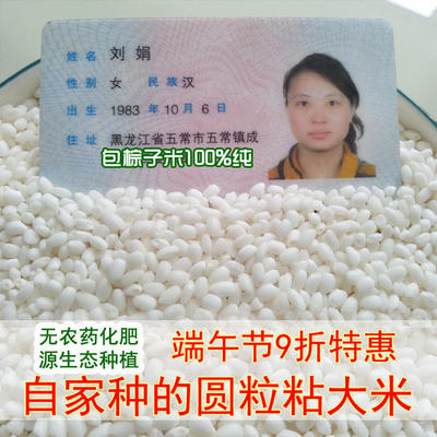 新糯米 五常圆粒糯米 包粽子米 酒米 不使用化肥农药的江米 500克