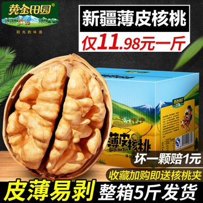 核桃薄皮纸皮2019新货新疆特产薄壳新鲜孕妇专用散装生核桃仁5斤