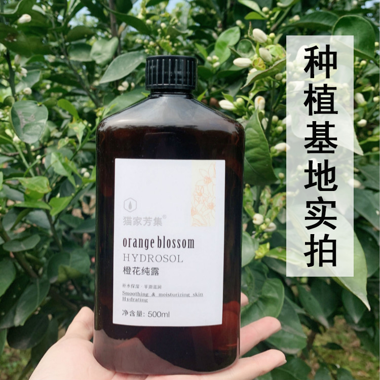 苦橙花纯露 改善暗黄提亮嫩白 鲜花蒸馏天然正品孕妇可用500ML|ruв категории Средства для ухода за собой, эфирные масла Ароматерапия, Hydrosol/Норфолк - от Buy2taobao.com для оказания профессиональной услуги покупки агента Taobao