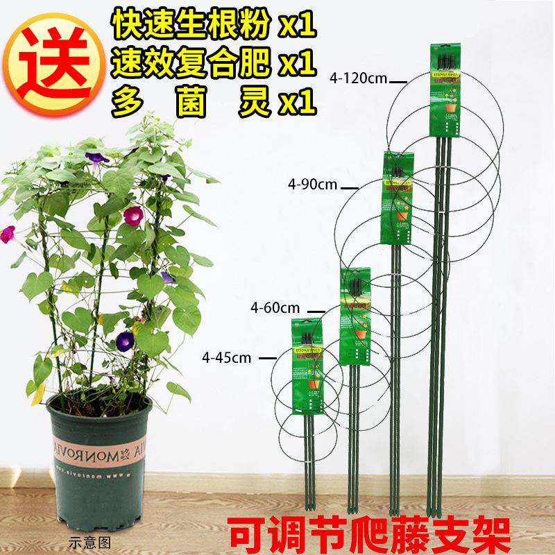 月季牵牛花铁线莲蔷薇花爬藤架攀爬植物固定支架户外花卉花盆支架在类目 鲜花速递/花卉仿真/绿植园艺, 园艺用品, 其它园艺用品中 - 来自Buy2taobao.com提供专业的淘宝代购服务