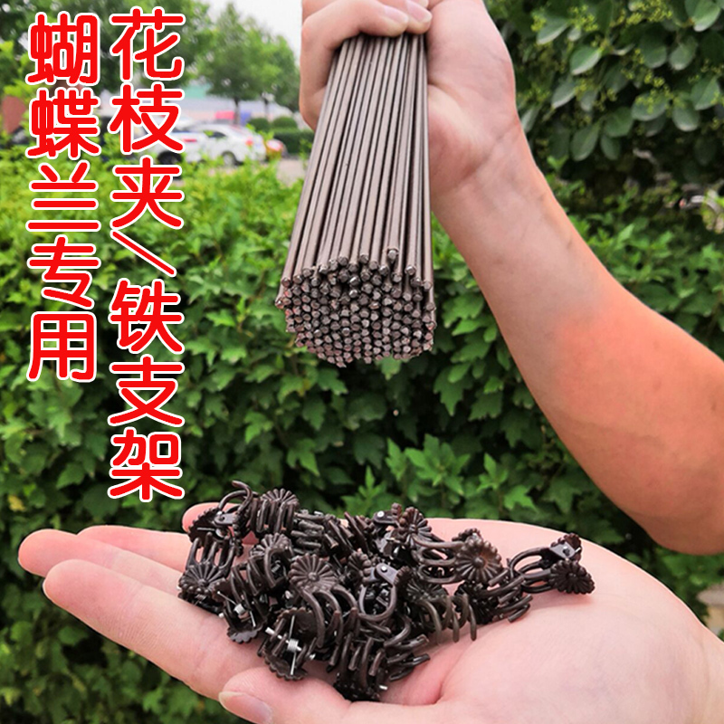 园艺花卉花枝夹子铁支架蝴蝶兰花专用小夹子蔓藤爬藤植物固定夹子|ruв категории доставка цветов/цветок моделирования/растения садоводства, садовых принадлежностей, других садовых принадлежностей - от Buy2taobao.com для оказания профессиональной услуги покупки агента Taobao