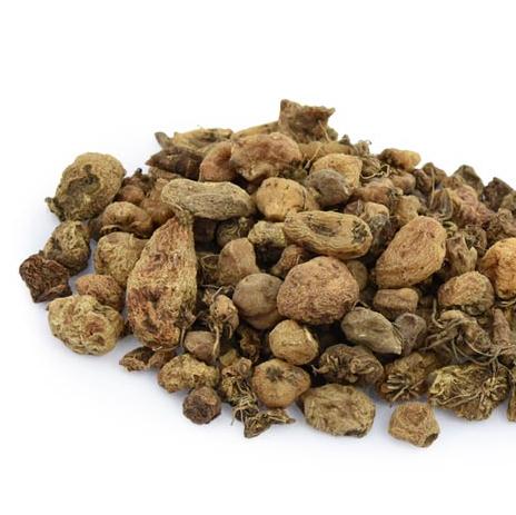 Arrowhead mushroom Mao arrowhead Mao arrowhead Hockey child 500g gram 90 Dollar Free Shipping Chinese herbal medicine supplyin the Traditional nourishing food , Other traditional tonic , Other traditional tonic category - from Buy2taobao.com to provide professional Taobao agent buy service
