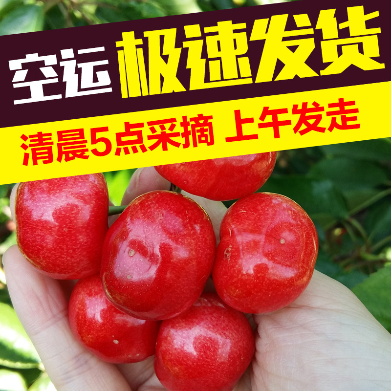 昆嵛山车厘子新鲜水果山东烟台大樱桃美早大连智利10孕妇应当季5|msdalam kategori daging perikanan/Buah-buahan segar dan sayur-sayuran/dimasak, buah-buahan segar, ceri/ceri - dari Buy2taobao.com untuk memberikan perkhidmatan ejen Taobao profesional membeli