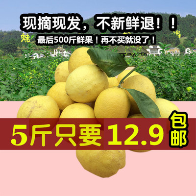 现摘安岳柠檬新鲜纯天然水果5斤装丑果新鲜黄柠檬特价包邮