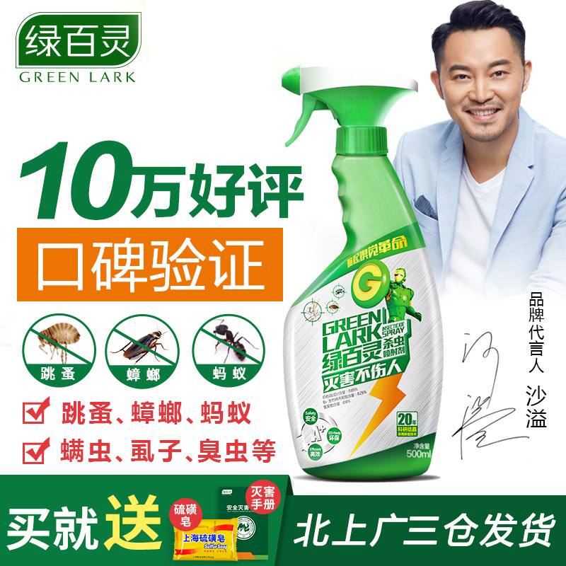 绿百灵家用杀虫剂灭蟑螂药蚂蚁药跳蚤虱子臭虫药床上除螨喷雾气雾