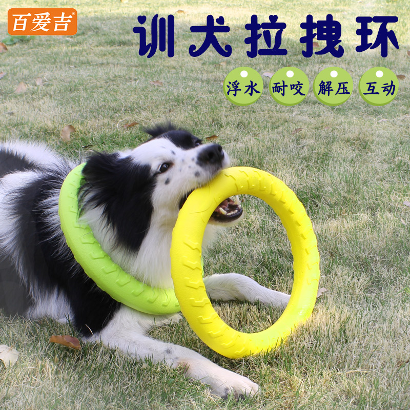 狗狗飞盘发泡耐咬拉环狗边牧萨摩训犬飞碟中大型犬宠物训练拉拽环在类目 宠物/宠物食品及用品, 猫/狗玩具, 飞盘中 - 来自Buy2taobao.com提供专业的淘宝代购服务