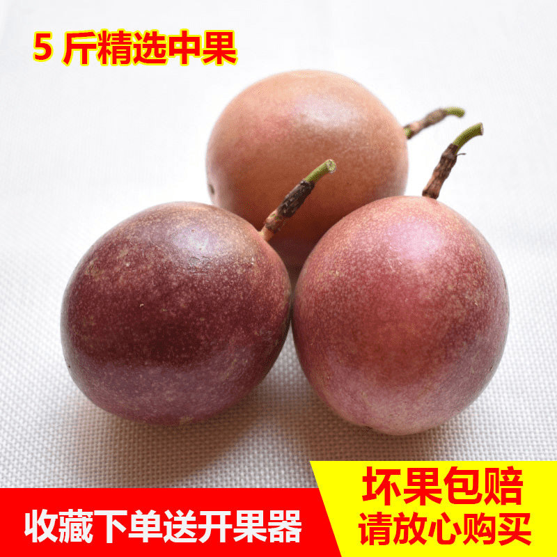 广西百香果5斤包邮 西番莲一级 中果 新鲜鸡蛋果 农家 现摘现发|msdalam kategori daging perikanan/Buah-buahan segar dan sayur-sayuran/dimasak, buah-buahan segar, Passion Fruit - dari Buy2taobao.com untuk memberikan perkhidmatan ejen Taobao profesional membeli