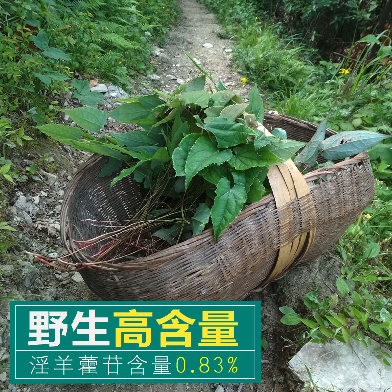 淫羊藿秦岭深山野生淫羊藿 仙灵脾 洋合叶洋火叶泡酒泡茶250g包邮|ruв категории традиционные питательный пища, гомологический продовольствия, медикаментов и продовольствия, съедобные продукты других наркотиков - от Buy2taobao.com для оказания профессиональной услуги покупки агента Taobao