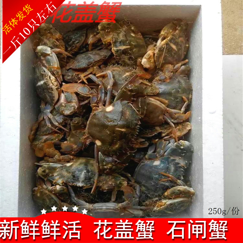 海鲜鲜活 水产新鲜花蟹 石蟹 新鲜花盖蟹 花梭子蟹 野生石闸蟹在类目 水产肉类/新鲜蔬果/熟食, 海鲜/水产品/制品, 蟹类, 蟹类制品中 - 来自Buy2taobao.com提供专业的淘宝代购服务