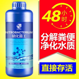 nitrifying bacteria nitrifying bacteria digesting bacteria fish culture supplies fish tank water purification agent fish medicine water quality stabilizer