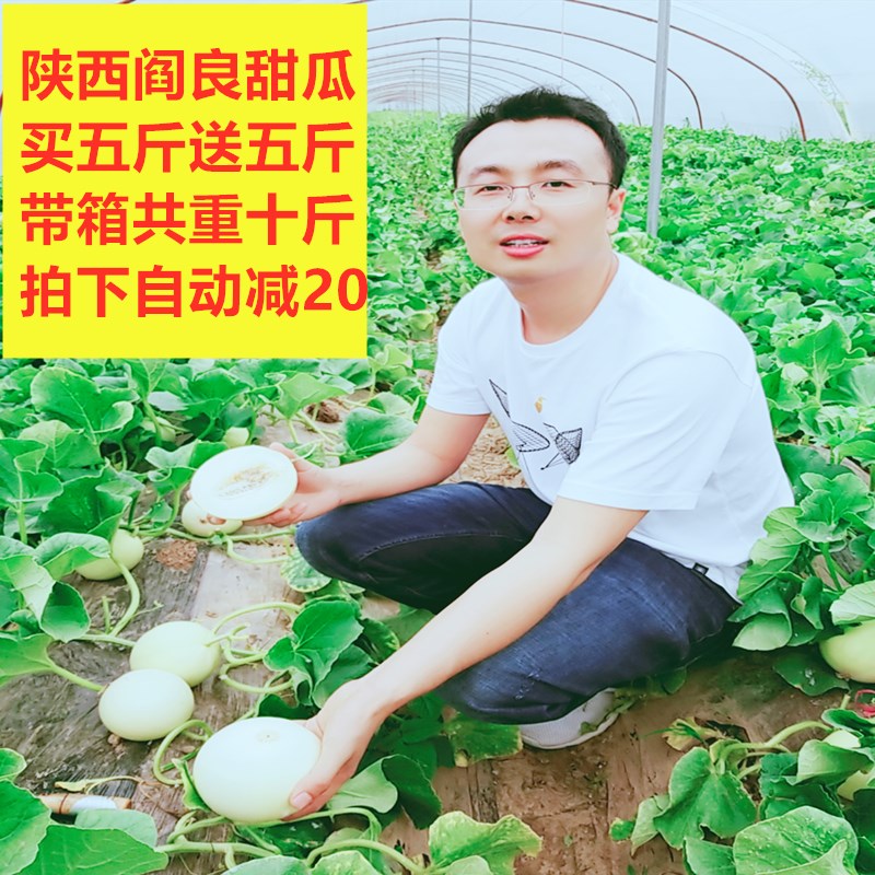 带箱10斤约6-8个现摘陕西阎良香甜蜜瓜新鲜多汁水果买5斤送5斤在类目 水产肉类/新鲜蔬果/熟食, 新鲜水果, 其它中 - 来自Buy2taobao.com提供专业的淘宝代购服务