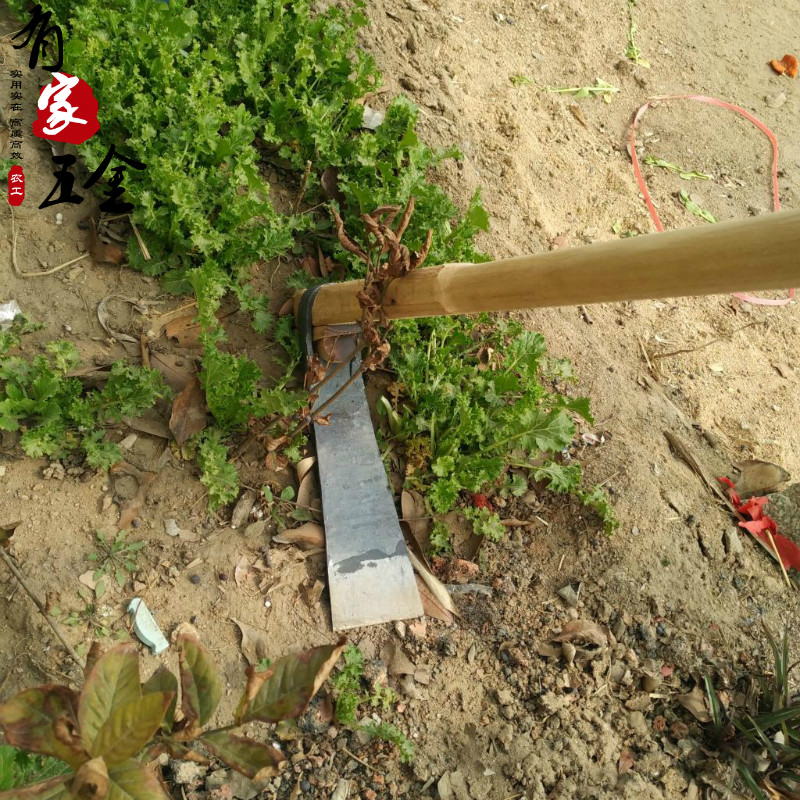 免费安装锄头农具种菜除草工具挖笋锄头锻打镢头园艺花草加长柄|msdalam kategori Jentera pertanian/alat-alat ladang/kepingan plastik, alat pertanian, Hoe - dari Buy2taobao.com untuk memberikan perkhidmatan ejen Taobao profesional membeli
