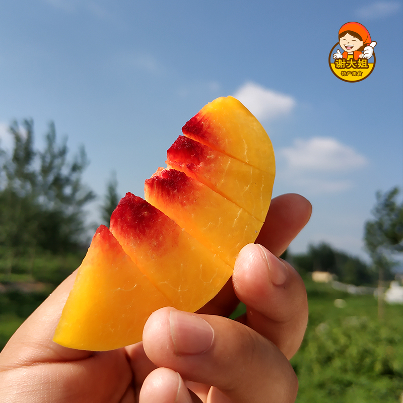 Yimeng Mountain Area fresh pregnant woman fruit Beautiful Rattus chinese rhubarb Empress can 5 poundsin the Aquatic meat/Fresh fruits and vegetables/Cooked , Fresh fruit , Peach category - from Buy2taobao.com to provide professional Taobao agent buy service
