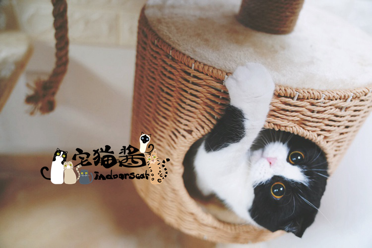 House cat sauce Sort of a small Cat Tree Cat jumping Cat Accessories Sisal column Pet Suppliesin the Pet/Pet food and supplies , Cat/Dog Toys , Cat Tree category - from Buy2taobao.com to provide professional Taobao agent buy service
