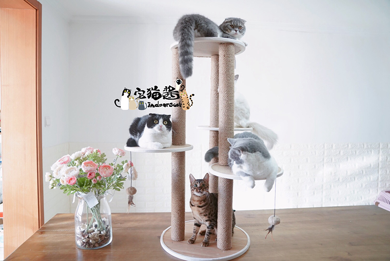 宅猫酱 路乐美天然竹子猫家具 宠物猫咪休闲娱乐猫爬架跳台猫爬树在类目 宠物/宠物食品及用品, 猫/狗玩具, 猫爬架中 - 来自Buy2taobao.com提供专业的淘宝代购服务