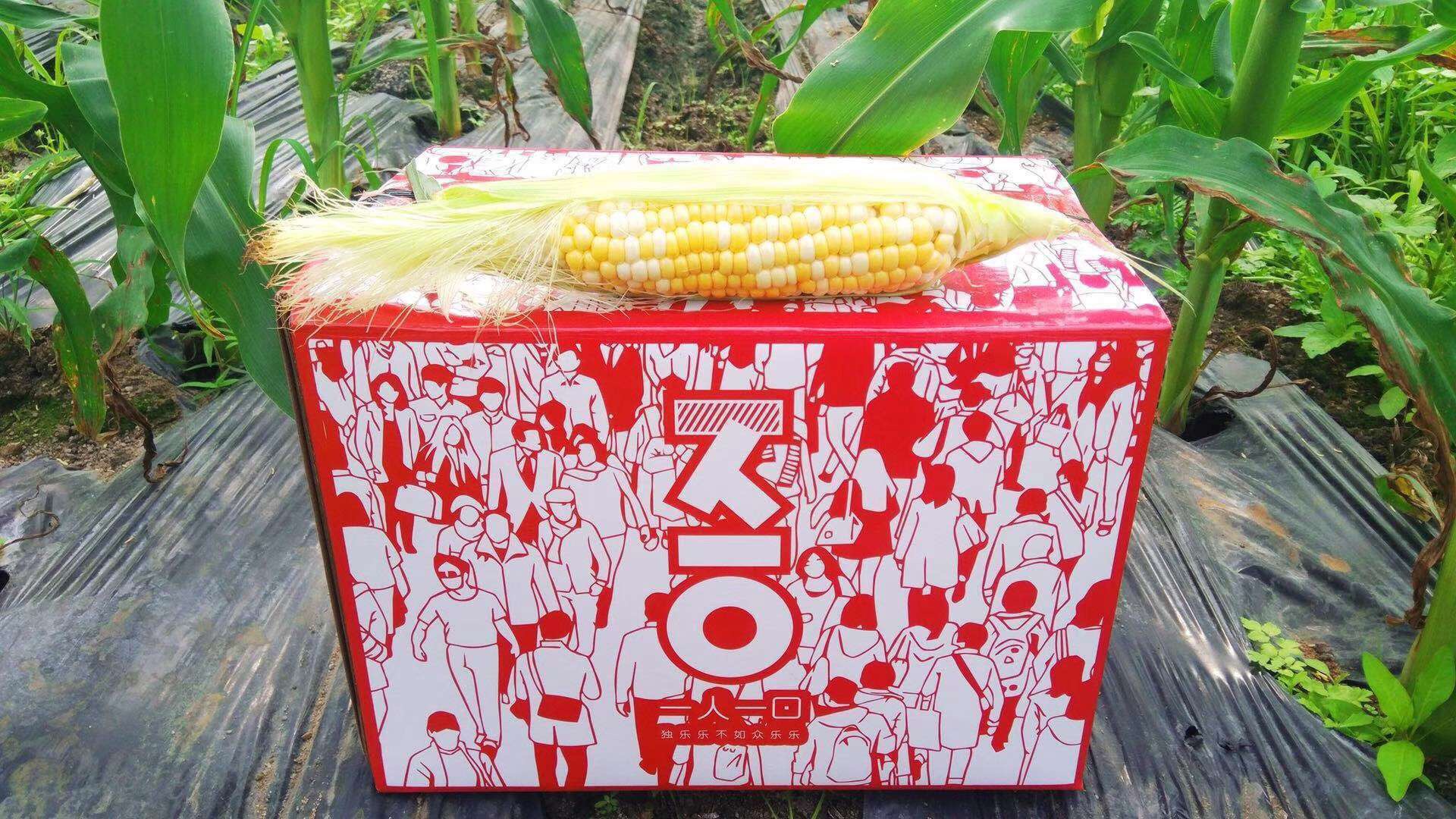 一人一口甜水果玉米 整箱约10斤8-11根 双色玉米甜玉米直接吃玉米|msdalam kategori daging perikanan/Buah-buahan segar dan sayur-sayuran/dimasak, buah-buahan segar, Mango - dari Buy2taobao.com untuk memberikan perkhidmatan ejen Taobao profesional membeli