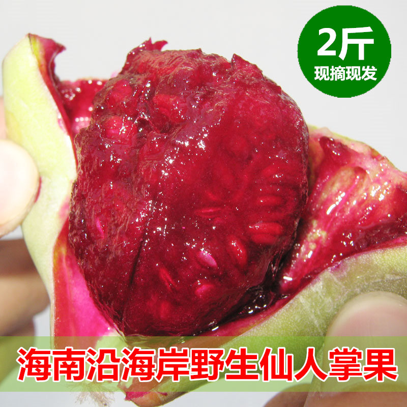 【拍2份送一斤】海南新鲜野生仙人掌果 青皮仙人掌果 仙桃花青素|ruв категории водной мясо/свежие фрукты и овощи/еда, свежие фрукты, другие - от Buy2taobao.com для оказания профессиональной услуги покупки агента Taobao