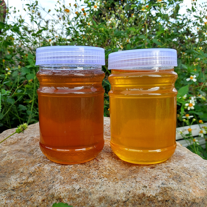 陈老师荔枝蜜龙眼蜜|msdalam kategori makanan berkhasiat tradisional, madu - dari Buy2taobao.com untuk memberikan perkhidmatan ejen Taobao profesional membeli