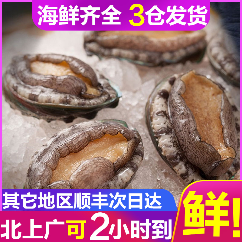 【活鲜】83g6头鲍鱼1只 野生鲍鱼新鲜鲜活鲍鱼海鲜水产大连鲍鱼|ruв категории водной мясо/свежие фрукты и овощи/еда, морепродукты/водные продукты/изделия, моллюски, абалон - от Buy2taobao.com для оказания профессиональной услуги покупки агента Taobao