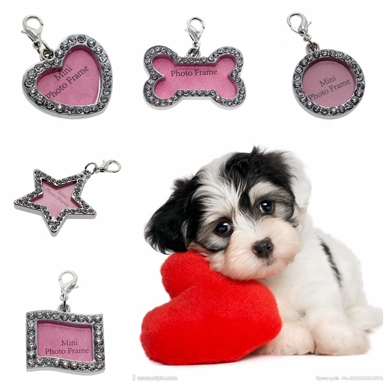 el Dog Cat Pet ID Name Charm Tag Engraved ers Crystal Bling在类目 包装, 托盘/底座, 纸托盘中 - 来自Buy2taobao.com提供专业的淘宝代购服务