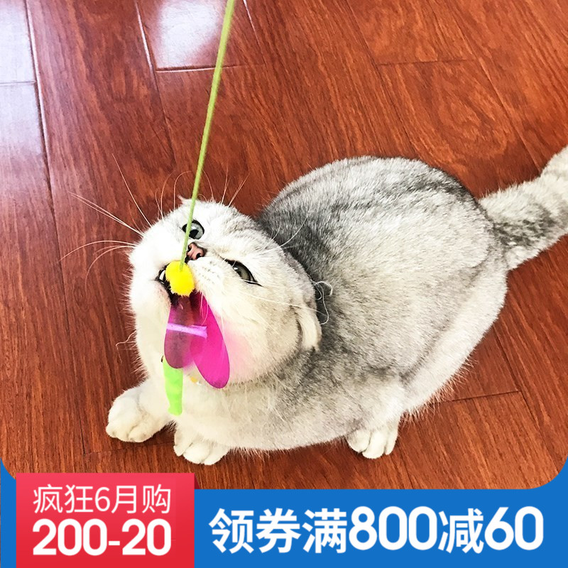 日本多格漫绚彩昆虫逗猫棒 逗猫软体虫 逗猫杆木棒麻绳逗猫毛毛虫在类目 宠物/宠物食品及用品, 猫/狗玩具, 逗猫棒中 - 来自Buy2taobao.com提供专业的淘宝代购服务