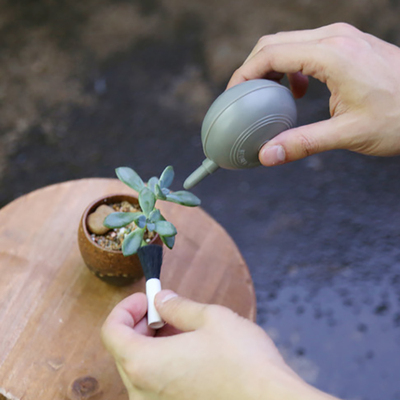 肉肉清洁工具气吹带毛刷多肉植物用品气吹球 吹尘器 多肉除尘器