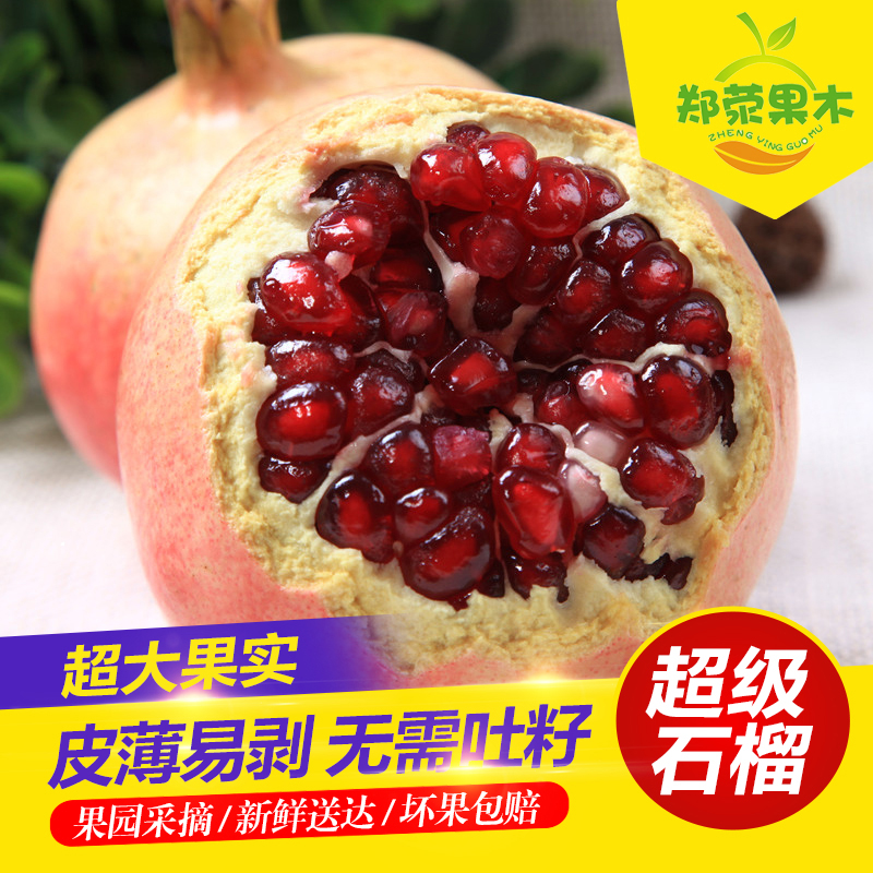 正宗河阴突尼斯耐冻嫁接软籽石榴树苗 果大纯度保证基地直销5年苗在类目 鲜花速递/花卉仿真/绿植园艺, 花园植物/行道树/果树, 果树中 - 来自Buy2taobao.com提供专业的淘宝代购服务