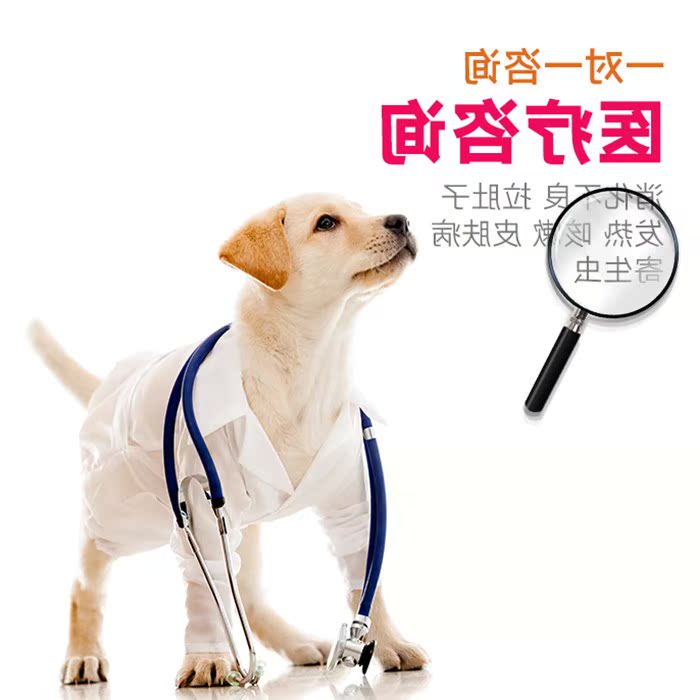 Dogs Pets Breed appraisal Long-range Medical care Consultation Dogs train Vaccine Consultation White Kyoodlein the Pet/Pet food and supplies , Pet Life Services , Pet Training category - from Buy2taobao.com to provide professional Taobao agent buy service
