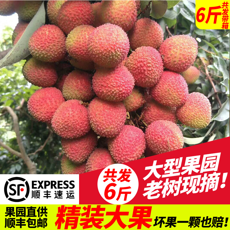 廣東荔枝妃子笑新鮮現摘當季應季孕婦水果5帶箱6斤10現貨順豐包郵在類目 水產肉類/新鮮蔬果/熟食, 新鮮水果, 荔枝中 - 來自Buy2taobao.com提供專業的淘寶代購服務