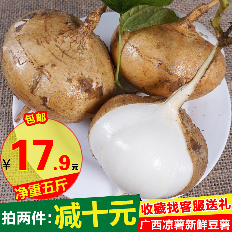 果果私语广西蔬菜白心凉薯 新鲜 现挖5斤包邮番薯地瓜10斤拍2件|ruв категории водной мясо/свежие фрукты и овощи/еда, свежие овощи/овощной продукции, свежие овощи, сладкий картофель - от Buy2taobao.com для оказания профессиональной услуги покупки агента Taobao
